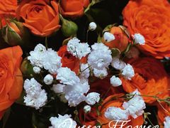 -循礼门鲜花花市(武汉循礼门店)