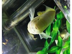 -邯郸海洋世界