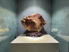 -河南自然博物馆
