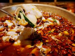 -蜀都丰 正宗水煮鱼(建德天城店)
