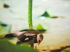 -德基艺术博物馆