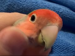 -首义路(地铁站)