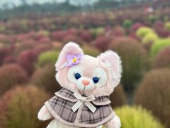-花开海上生态园