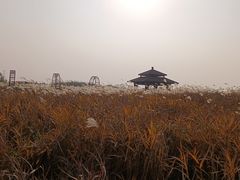 -宁波杭州湾国家湿地公园