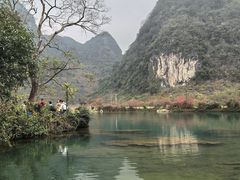 -靖西鹅泉风景区