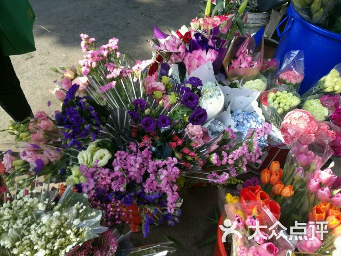 三林花鸟市场图片 - 第35张