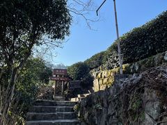 -龙井村