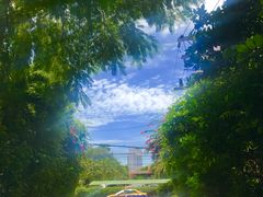 -卷心菜和避孕套餐厅(Pattaya)
