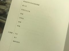 -新加坡航空公司(ION)