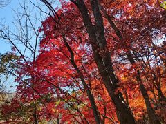-关门山森林公园