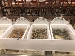 -上海浦东康桥绿地假日酒店