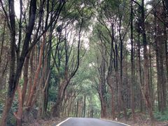 -象山森林公园