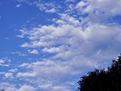 -两河城市森林公园