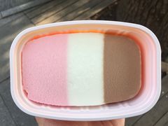-西湖游船