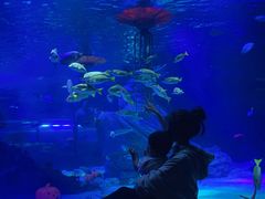 -沈阳海洋探索中心