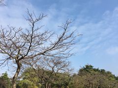 -四海公园(南山区)