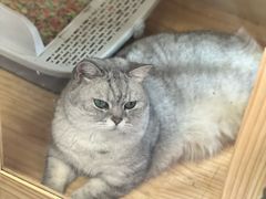 -艺味深尝(云锦路店)