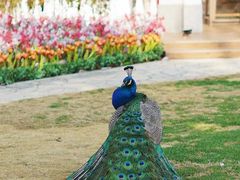 -J Create城市露营咖啡·简餐·宠物(上海动物园店)