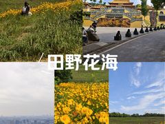 -南京市江宁方山