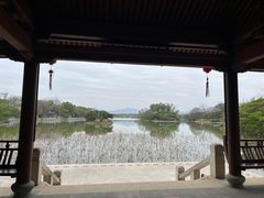 -江心屿景区