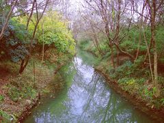 -西溪国家湿地公园