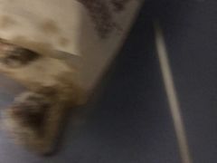 -靳小哥炸肉旗舰店