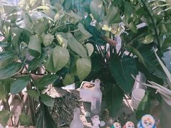 -不止轰趴桌游麻将台球(立水桥店)