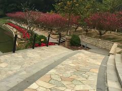 -南国桃园旅游度假区