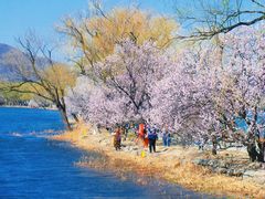 -颐和园-景明楼