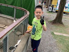 -前小桔亲子创意农场·草莓采摘·露营烧烤