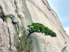 -天柱山风景区