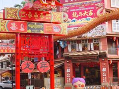 -马六甲鸡场街