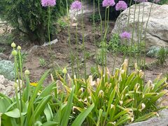 -国家植物园南园