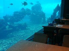 -海棠湾洲际-涛·海底餐厅·美人鱼·自助餐·海底隧道
