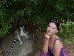 -灵玲国际马戏城