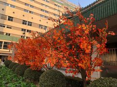 -北京协和医院(东单院区)