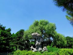 -北陵公园