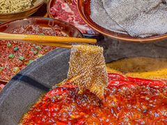 -阳阳老火锅(小南门店)