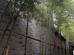 -龙潭水乡