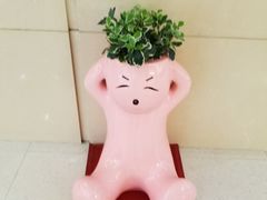 -莲花国际广场