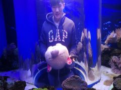 -芜湖新华联大白鲸海洋公园