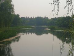 -东郊湿地公园