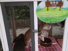 -上海崇明金茂凯悦酒店