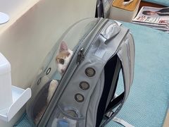 -爱妮康宠物医院·干细胞免疫细胞·肿瘤·心脏(张江店)