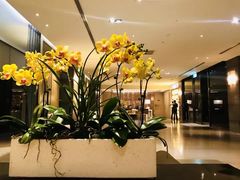 -台北北投丽禧温泉酒店