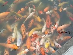 -荆川公园