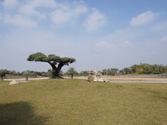 -南通洲际绿博园