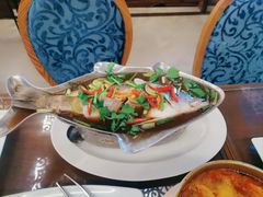 -Daddy Nimman Chiang Mai