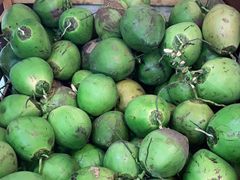 -墨脱石锅椰子鸡•香草鸭•东山羊(大东海店)