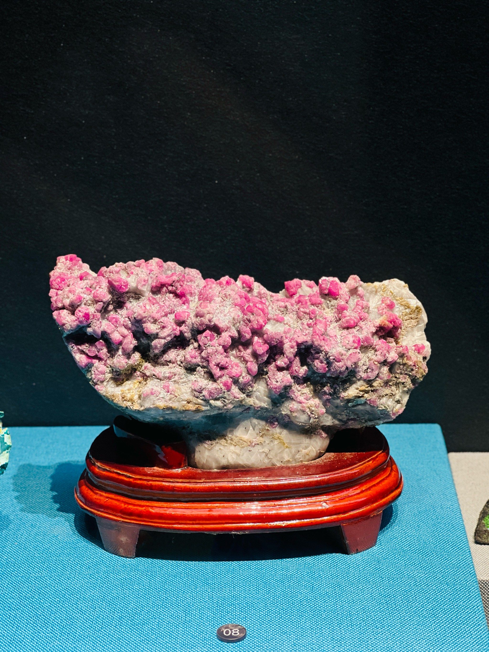 好看的石头让人挪不开眼(70▽70)